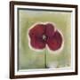 Poppy in my diary-Nancy Moniz Charalambous-Framed Giclee Print