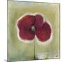 Poppy in my diary-Nancy Moniz Charalambous-Mounted Giclee Print