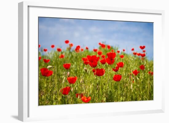 Poppy Landscape-artlosk-Framed Photographic Print