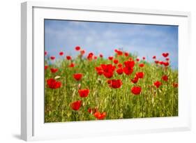 Poppy Landscape-artlosk-Framed Photographic Print