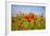 Poppy Landscape-artlosk-Framed Photographic Print