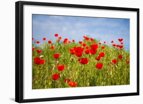 Poppy Landscape-artlosk-Framed Photographic Print