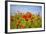 Poppy Landscape-artlosk-Framed Photographic Print