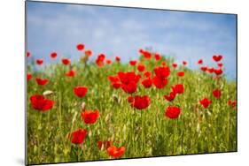 Poppy Landscape-artlosk-Mounted Photographic Print