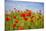 Poppy Landscape-artlosk-Mounted Photographic Print