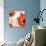 Poppy Love-James Worthington-Giclee Print displayed on a wall