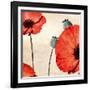 Poppy Love-James Worthington-Framed Giclee Print