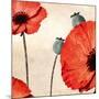 Poppy Love-James Worthington-Mounted Giclee Print