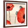 Poppy Love-James Worthington-Framed Giclee Print
