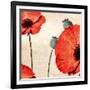 Poppy Love-James Worthington-Framed Giclee Print