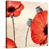 Poppy Love-James Worthington-Stretched Canvas