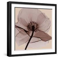 Poppy Love-Albert Koetsier-Framed Photographic Print