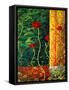 Poppy Madness-Megan Aroon Duncanson-Framed Stretched Canvas