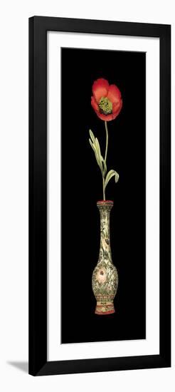 Poppy Magic I-Vision Studio-Framed Art Print