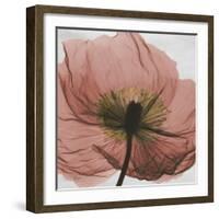 Poppy Marsala-Albert Koetsier-Framed Premium Giclee Print