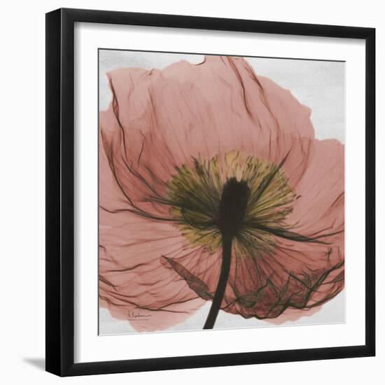 Poppy Marsala-Albert Koetsier-Framed Premium Giclee Print