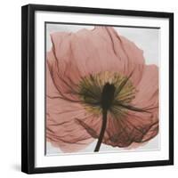 Poppy Marsala-Albert Koetsier-Framed Art Print