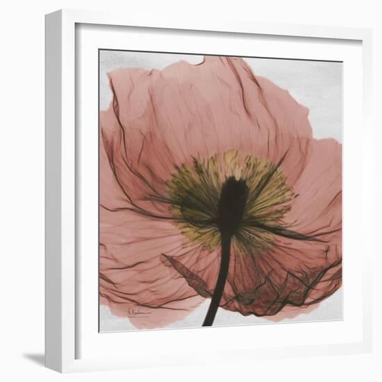 Poppy Marsala-Albert Koetsier-Framed Art Print