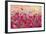 Poppy meadow-Claire Westwood-Framed Premium Giclee Print