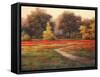 Poppy Meadows I-TC Chiu-Framed Stretched Canvas