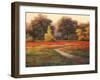 Poppy Meadows I-TC Chiu-Framed Art Print