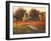 Poppy Meadows I-TC Chiu-Framed Art Print