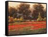 Poppy Meadows II-Tc Chiu-Framed Stretched Canvas