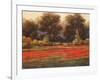 Poppy Meadows II-Tc Chiu-Framed Art Print