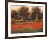 Poppy Meadows II-Tc Chiu-Framed Art Print