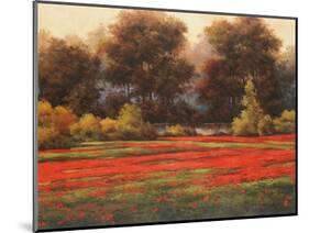 Poppy Meadows II-Tc Chiu-Mounted Art Print