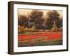 Poppy Meadows II-Tc Chiu-Framed Art Print