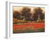 Poppy Meadows II-Tc Chiu-Framed Art Print