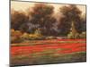 Poppy Meadows II-Tc Chiu-Mounted Art Print