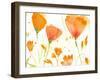 Poppy Moment-Sheila Golden-Framed Art Print