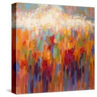 Poppy Mosaic-Claire Hardy-Stretched Canvas