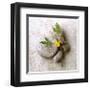 Poppy On Stone-Glen and Gayle Wans-Framed Giclee Print