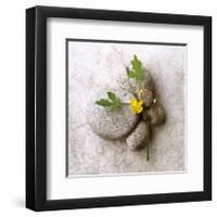 Poppy On Stone-Glen and Gayle Wans-Framed Giclee Print