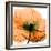 Poppy Orange-Albert Koetsier-Framed Photographic Print