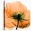 Poppy Orange-Albert Koetsier-Stretched Canvas