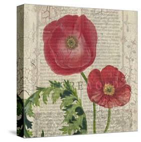 Poppy Pages Square II-Louise Montillio-Stretched Canvas