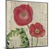 Poppy Pages Square II-Louise Montillio-Mounted Art Print