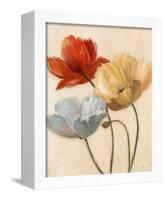 Poppy Palette II-Nan-Stretched Canvas