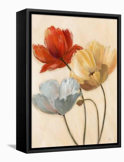 Poppy Palette II-null-Framed Stretched Canvas