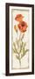 Poppy Panel Light-Cheri Blum-Framed Premium Giclee Print