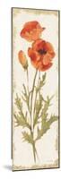 Poppy Panel Light-Cheri Blum-Mounted Premium Giclee Print