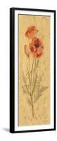 Poppy Panel-Cheri Blum-Framed Premium Giclee Print