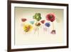 Poppy Panorama-Andreas Stridsberg-Framed Giclee Print