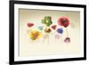 Poppy Panorama-Andreas Stridsberg-Framed Giclee Print