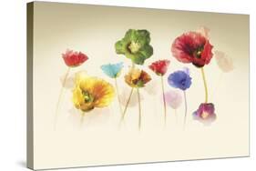 Poppy Panorama-Andreas Stridsberg-Stretched Canvas