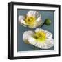 Poppy Parfait I-Janel Pahl-Framed Art Print